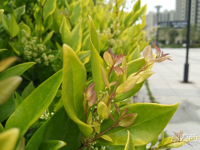 小米Note顶配版测评:到底比普通版强多少?