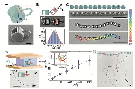 比头发丝还细的机器人！可自主导航、避障、适应环境