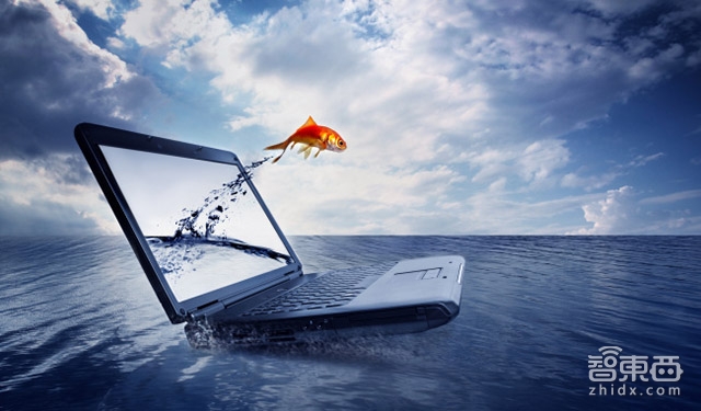 京东双十一手机战报:荣耀获销售额销量双冠