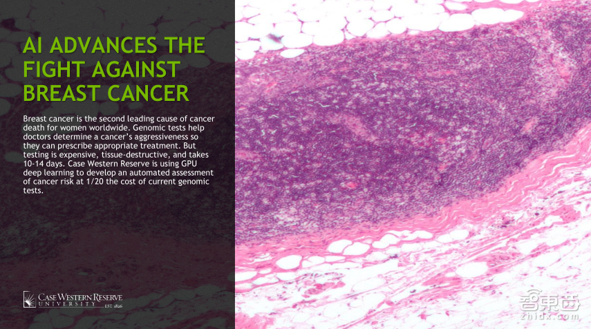【PPT下载】从基因诊断、药物发现到医疗影像分析，11个案例帮你读懂深度学习在医疗领域的应用