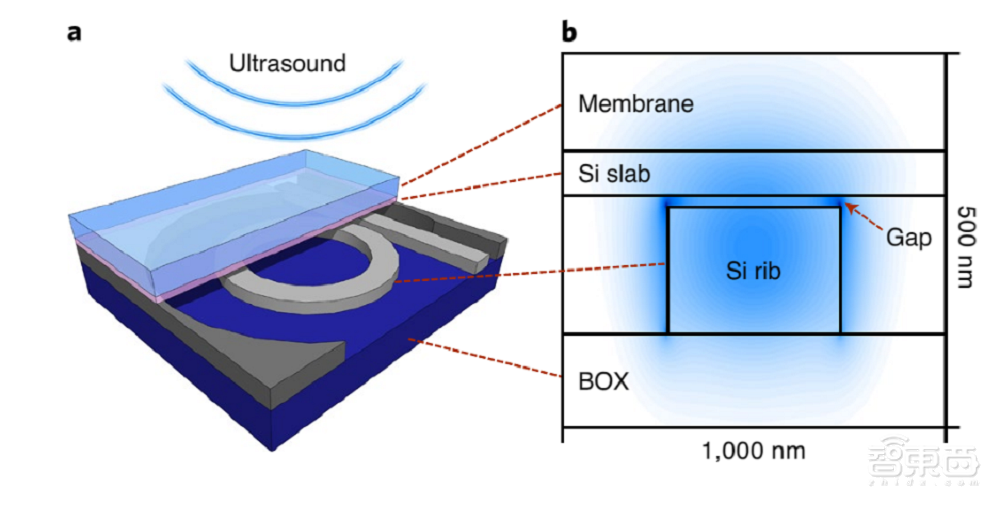 突破摩尔定律瓶颈！IMEC研发硅光子芯片新器件，登上Nature子刊
