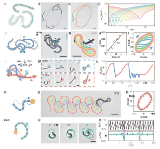 比头发丝还细的机器人！可自主导航、避障、适应环境