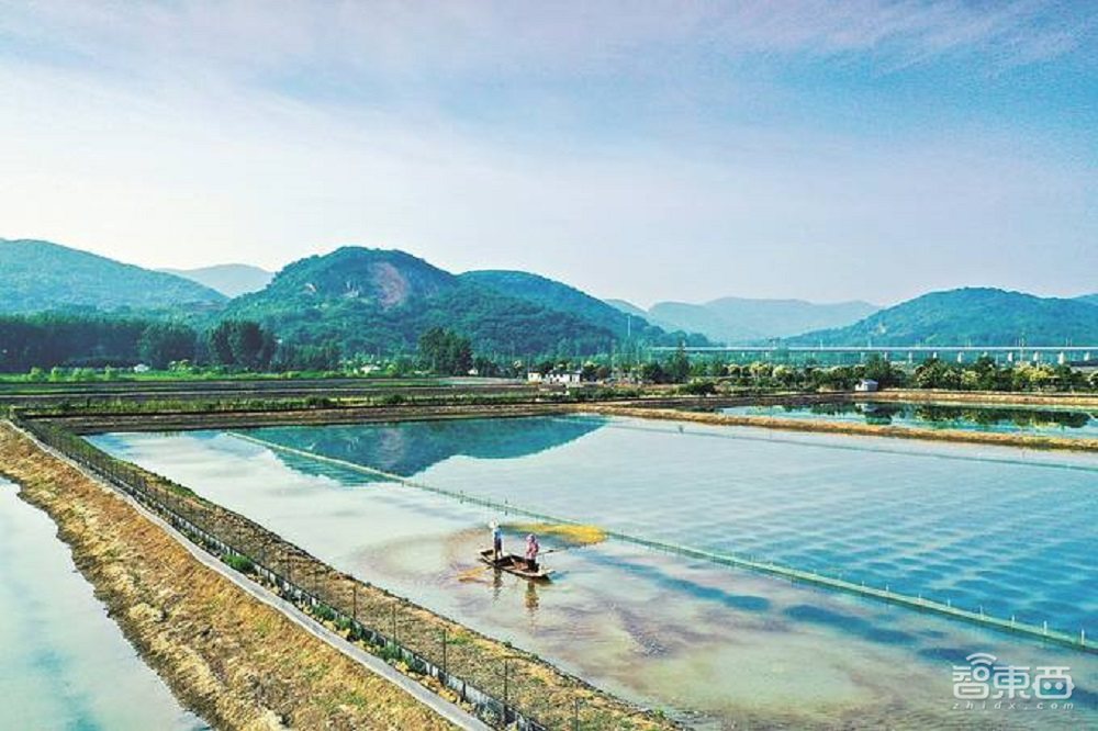 走进真实的智慧乡村,进村靠脸,种田上天,秋收上网