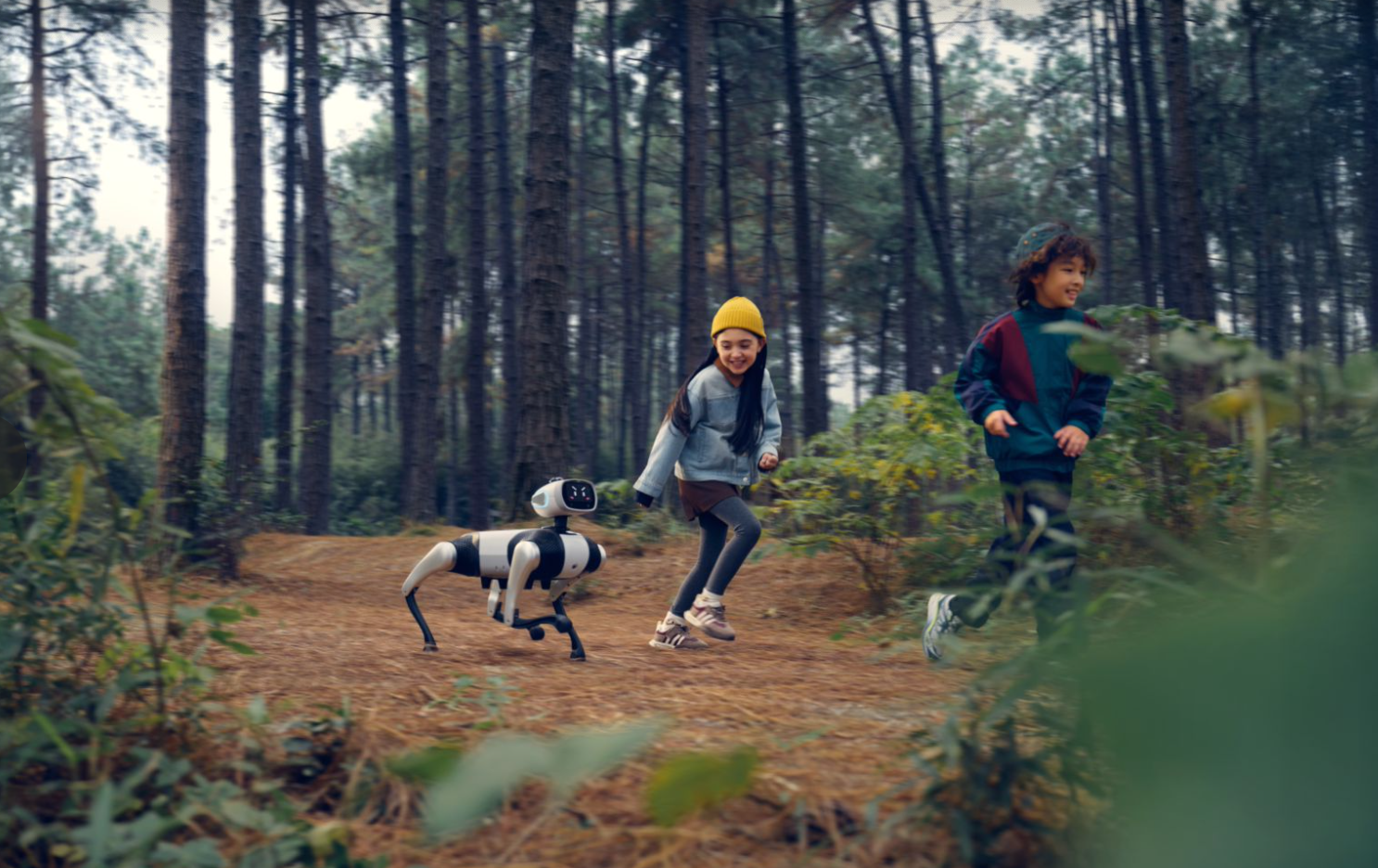 免遥控，陪你出门徒步、买菜、逛街的机器狗出现了！9988元抢爆