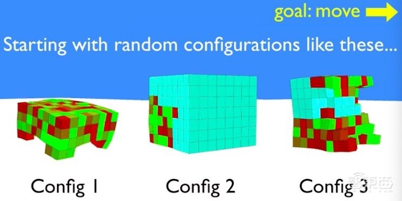 全球首个活体可编程机器人诞生!100%青蛙基因,劈成两半还能自愈