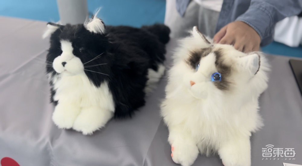 实探余姚中国机器人大会：500+机器人产品展出，仿生人、脑机接口、智能化产线等亮了