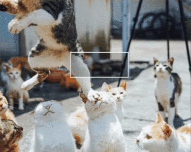 CV迎GPT-3时刻!万物皆可一键抠图,Meta新模型要掀起CV革命?