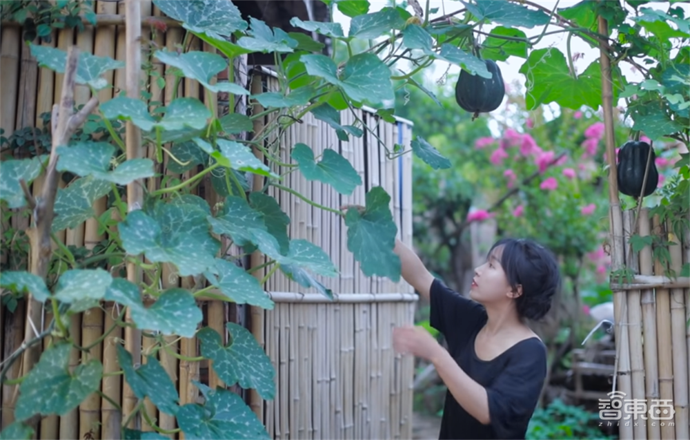 你回不去的老家,正搭上数字化的大潮飞起!