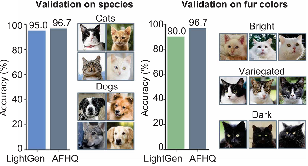 上海交大全光AI芯片登Science！比A100快百倍
