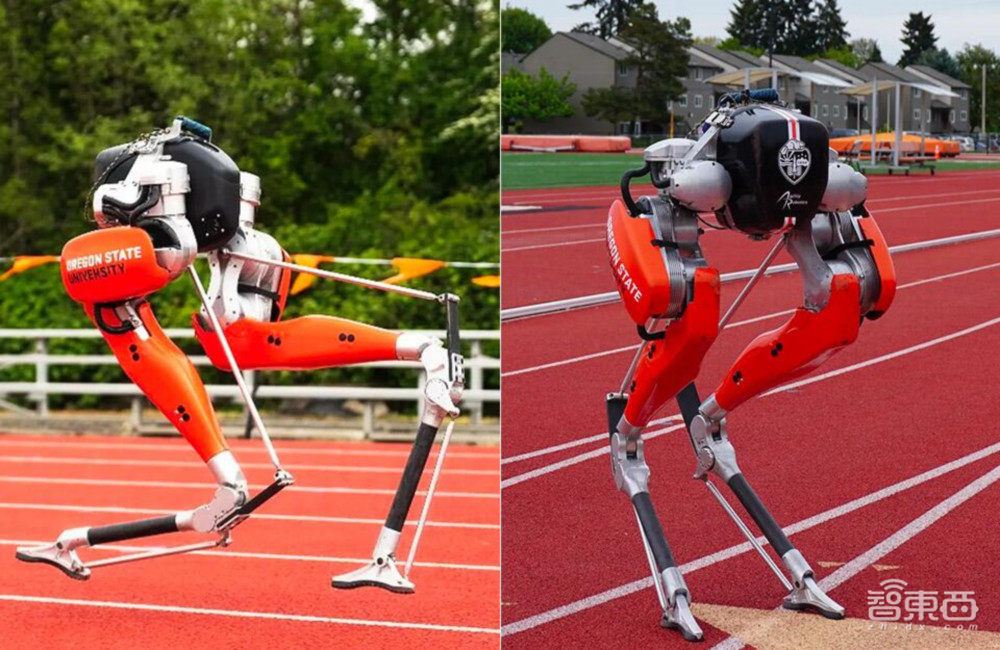 Cassie成双足机器人界的“博尔特”，百米赛跑仅用时24.73秒