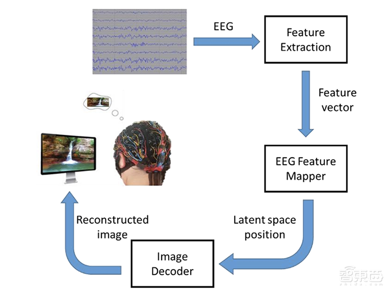 电脑直接显示你的脑补画面！脑机接口“读心”能力再升级
