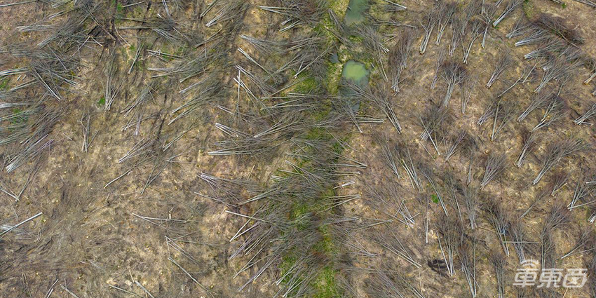 大众斥资千亿在加拿大建电池工厂，产能可供应100万辆电动车