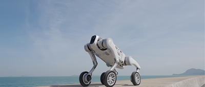 不止于炫技，普渡如何引领机器狗成为具身智能商业化最佳物种？