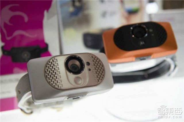 摩托罗拉推出首款宠物智能硬件:Scout 5000智能项圈