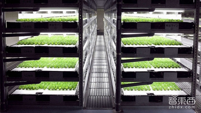 智东西晚报:谷歌重金入主最大人工智能科研机构