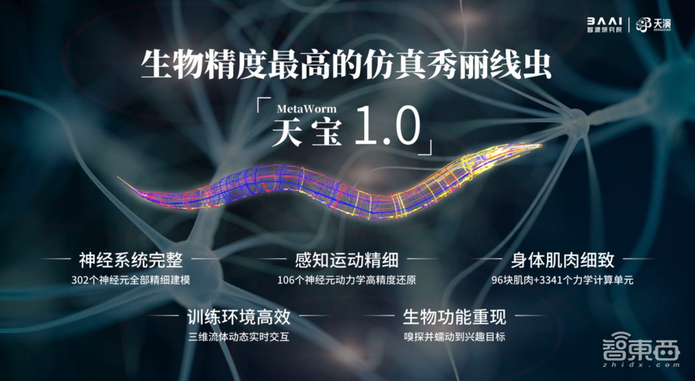 助攻国产AI芯片解锁大模型！智源打造1000P算力平台，还发起AI芯片生态实验室