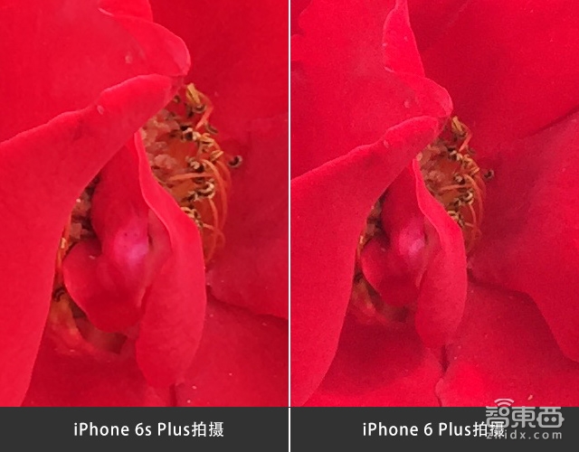 国仁观察:体验iPhone 6s Plus的变与不变