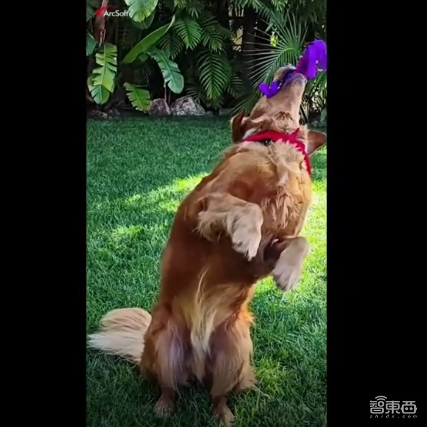 高通甩两大芯片王炸!AI大模型联手腾讯智谱,小米15抢首发,荣耀剧透新机
