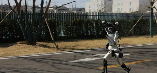 超300台人形机器人参与！天工、松延都来了，参赛阵容曝光