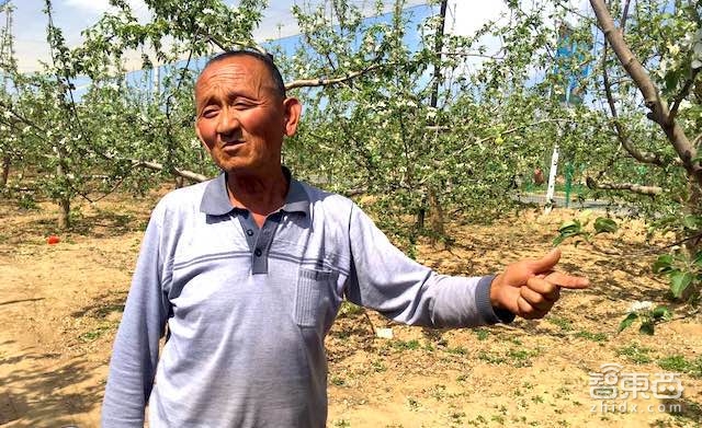特写:无人机下乡三年 海归植保队征服5万亩果园