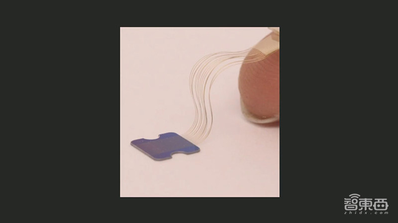 明年开始人体实验!马斯克脑机接口重大突破,已能让猴子用脑控制电脑