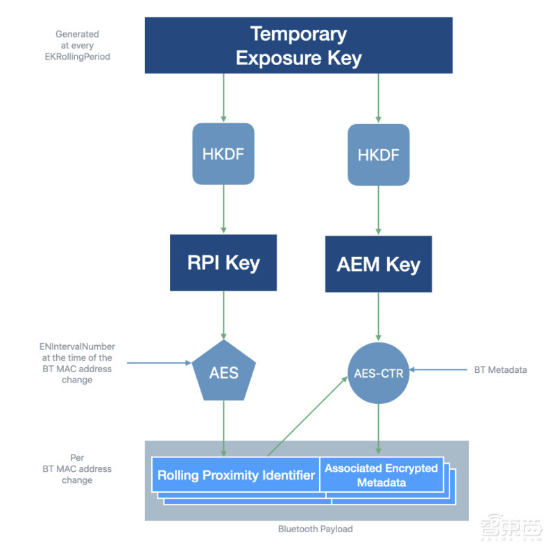 活久见！谷歌苹果联手抗疫，蓝牙追踪系统今天上线测试
