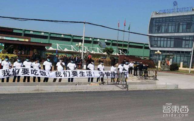 64岁的董明珠 赌上20亿身家造车 会是个坑吗？