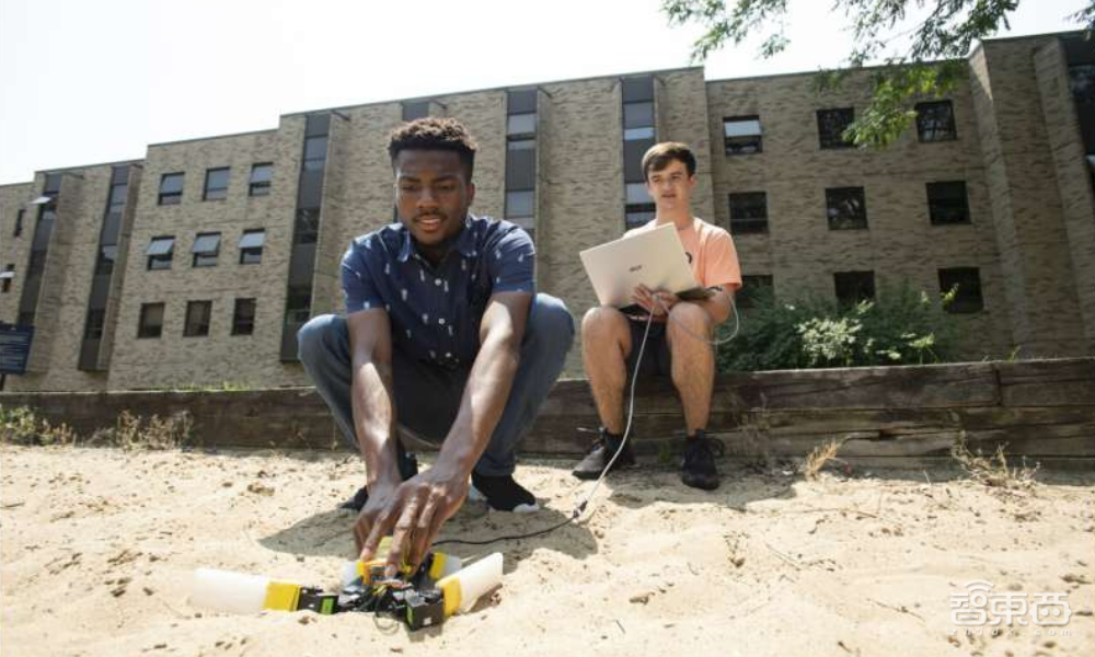 引导小海龟回归大海!新型仿生机器人可模拟海龟步态