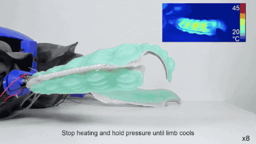 两栖机器龟登上Nature封面!结合海龟、陆龟和机器人的各种优势