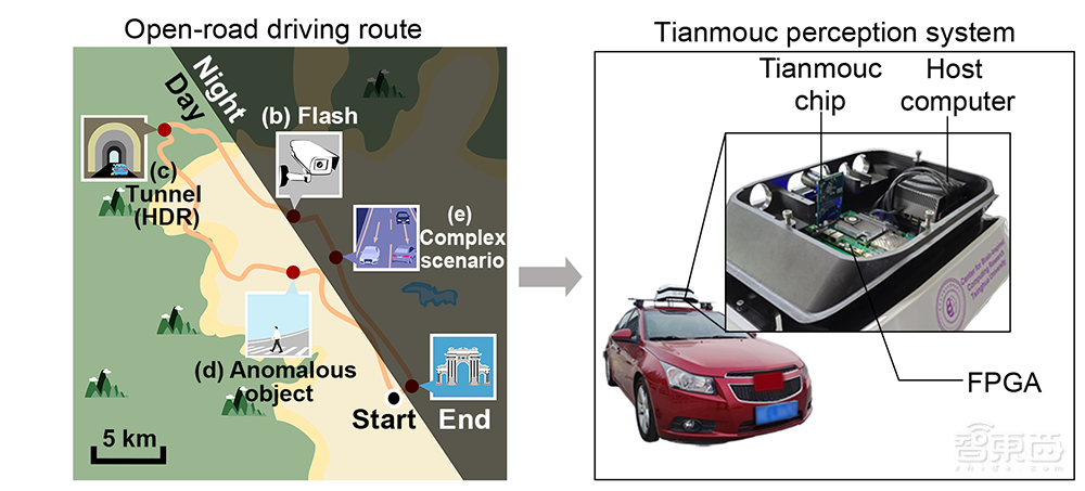 清华计算双“王炸”登Nature!类脑芯片取得重大突破,量子模拟打破国际纪录