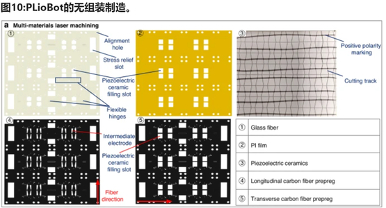 国防科大造了个纸片机器人，登上Nature子刊