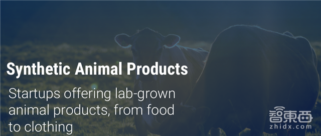 年终重磅:解密全球30家搅局者和355家上市路上的科技公司【附下载】|智东西内参