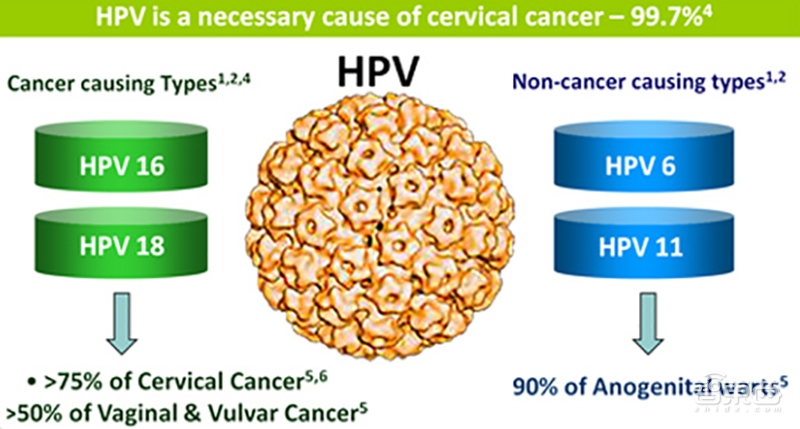 AI造福女性显身手!看华为云的AI防癌黑科技牛在哪