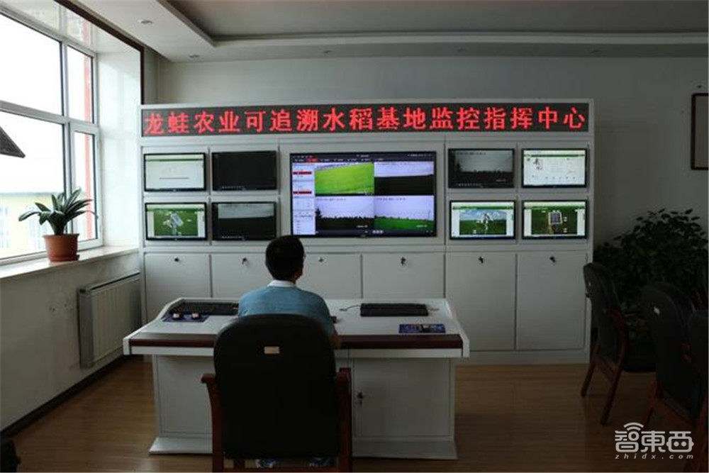 你回不去的老家,正搭上数字化的大潮飞起!