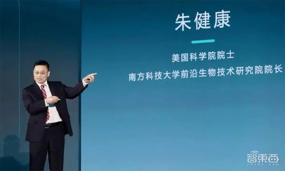 全球前2%顶尖科学家出炉,深圳732位!