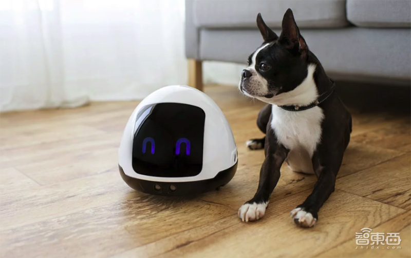 AI解救铲屎官!喵脸识别、狗粮定制,宠物智能生活精彩远超想象