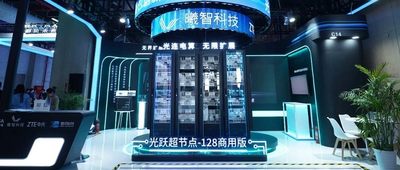 在谷歌与英伟达的侧翼，中国玩家正用“光速”铺设一条算力快车道