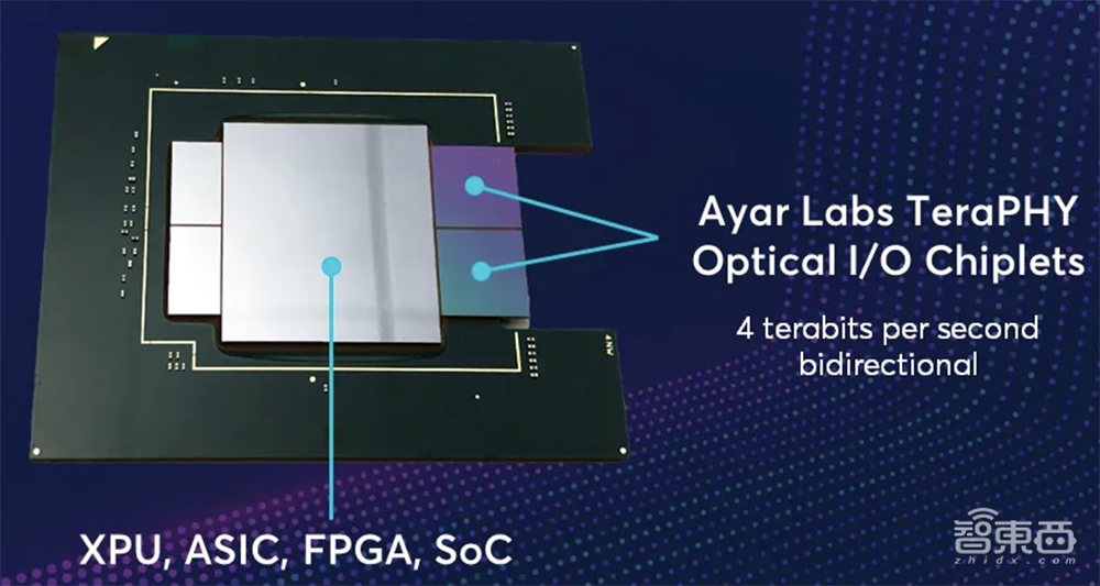 英伟达AMD英特尔联手，投出一家AI芯片独角兽