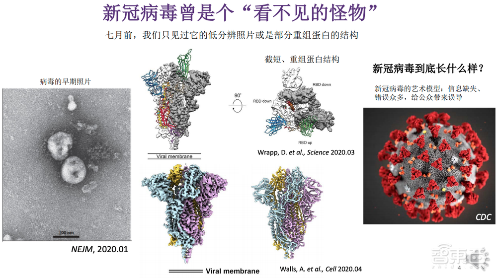 致敬科学家:写在抗疫一周年,战胜疫情背后的科学计算