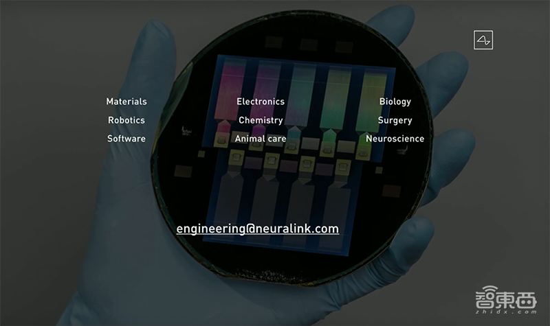 马斯克推脑机接口芯片！1小时安装睡觉时充电，植入活猪现场遛很快人体试验