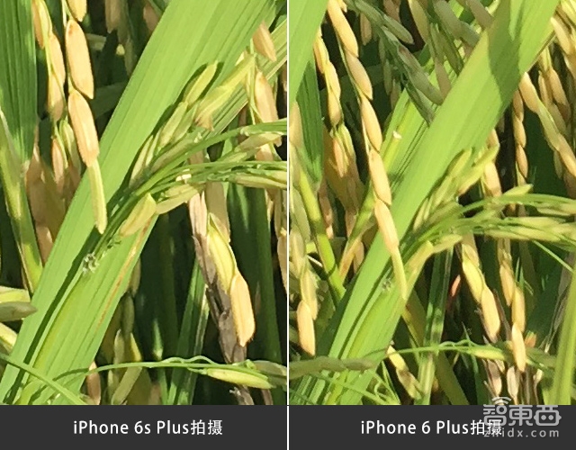 国仁观察:体验iPhone 6s Plus的变与不变