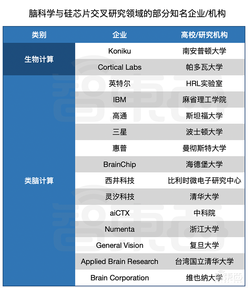 深扒全球仿生芯片计划！15+公司已入局，人造大脑通往未来计算之门