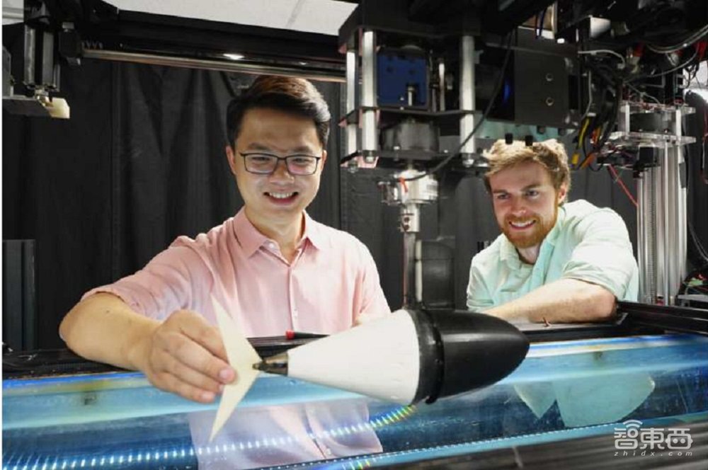 像鱼一样用尾巴控速？仿生机器人新发现，“机器鱼”登《科学》子刊