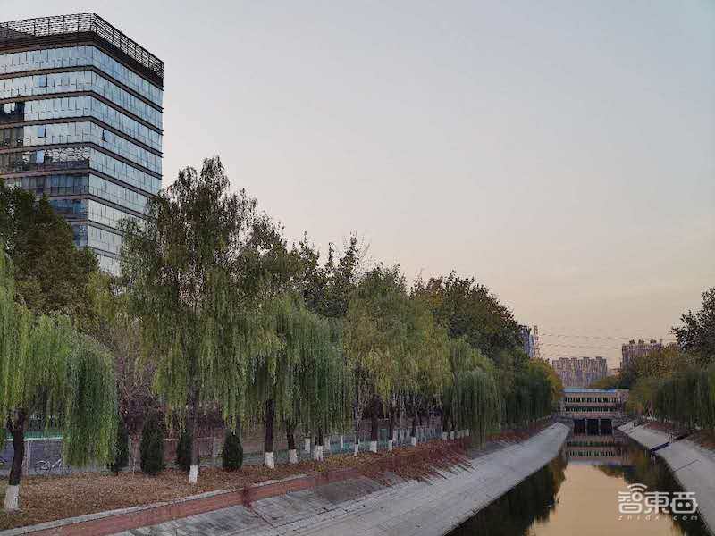 小米1亿像素手机拍照体验,从微距拍到超广角,效果到底如何?