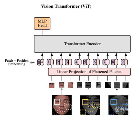 惠普最新推出的AI開發(fā)平臺測評：多用戶協(xié)同開發(fā)模型和算力資源管理的有力工具！