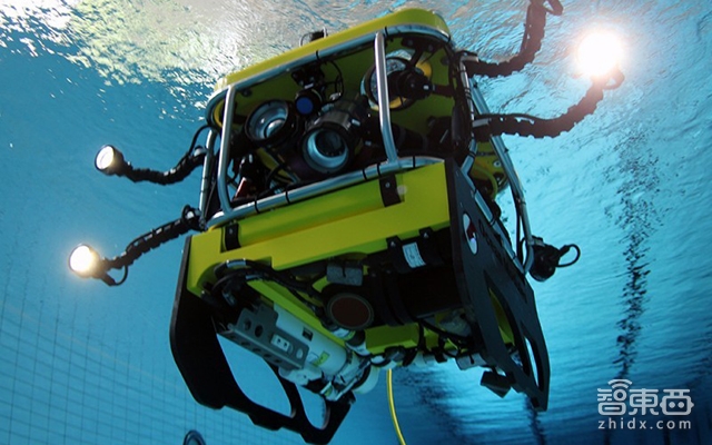 千亿美元新蓝海:机器人养鱼了解一下?