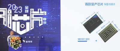 諾磊科技Raymond Wu：解決AI應用落地，“小”芯片也能辦大事情丨GACS 2023