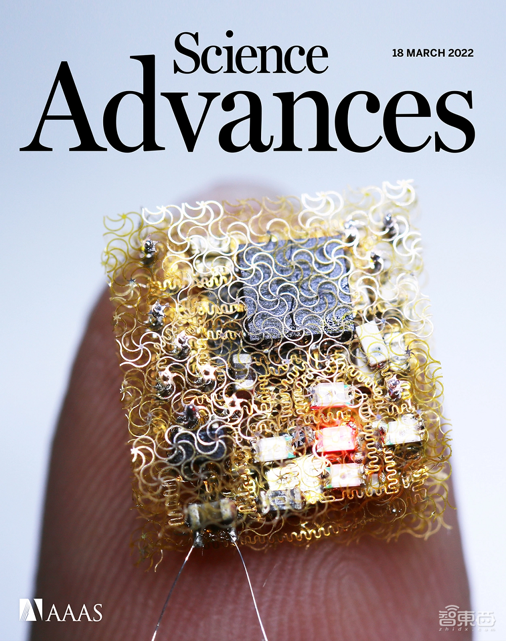 隔空操作电脑!清华团队电子皮肤成果登Science子刊封面