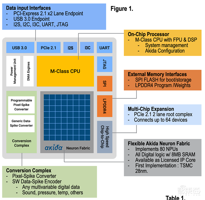深扒全球仿生芯片计划！15+公司已入局，人造大脑通往未来计算之门