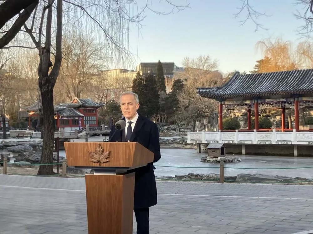 重磅利好，中国电车能领德国补贴了！两国为新能源出海开政策绿灯